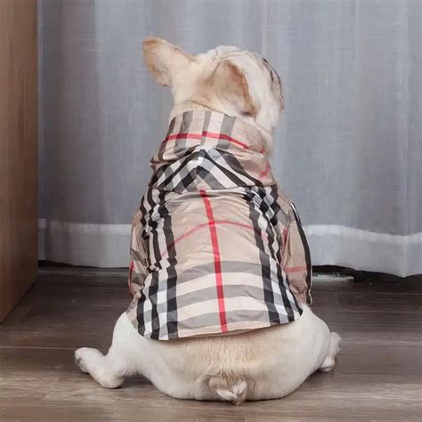 burberry dog jacket